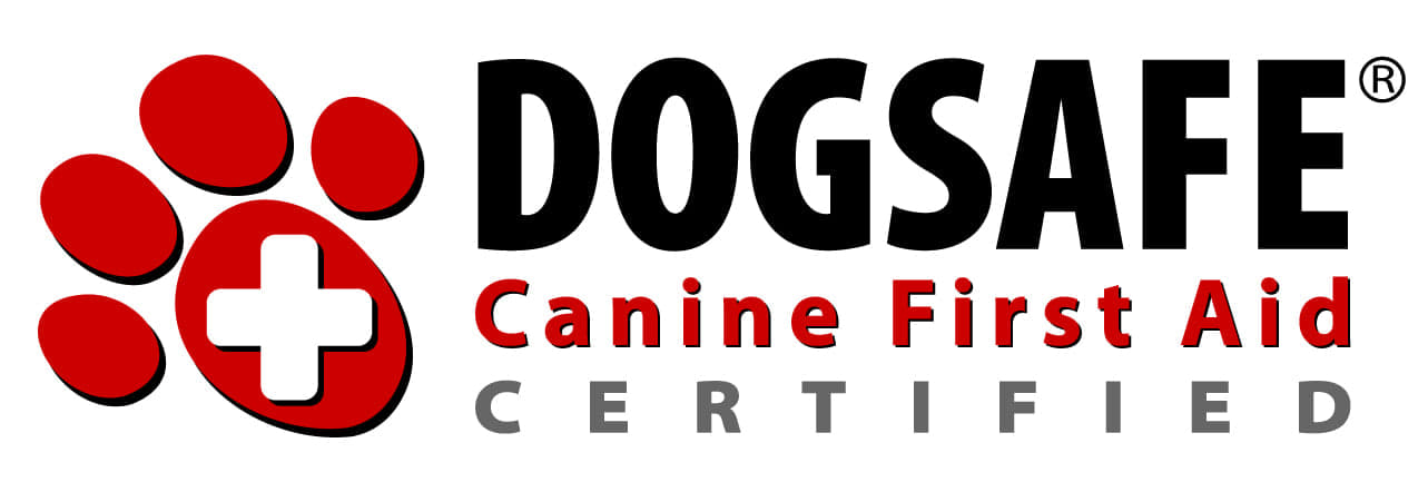 dogsafe first aid certification